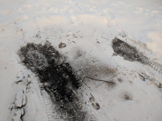 Illustration for article titled Muh truck froze to the ground last night!